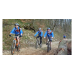 ASCAP VTT