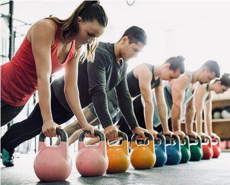 Entraînement musculation
