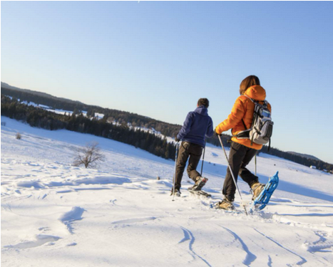Activité Hiver