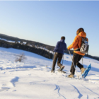 Activité Hiver